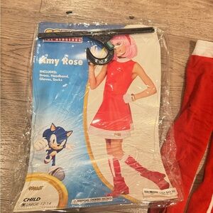 Amy Rose Costume Set with Dress and Accessories